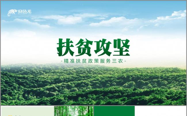 扶贫攻坚精准扶贫政策服务三农项目PPT模板缩略图