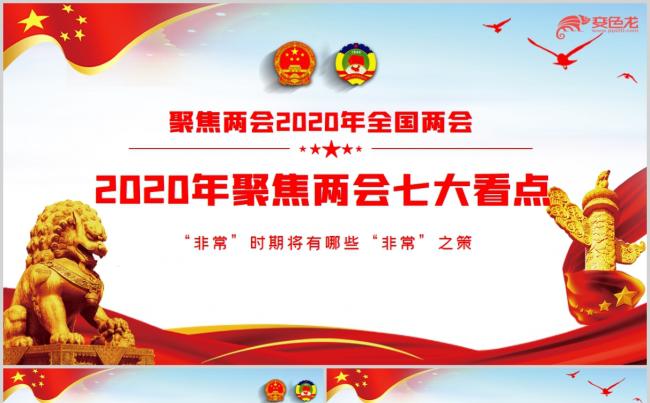 2020年两会七大看点聚焦两会党建PPT模板缩略图