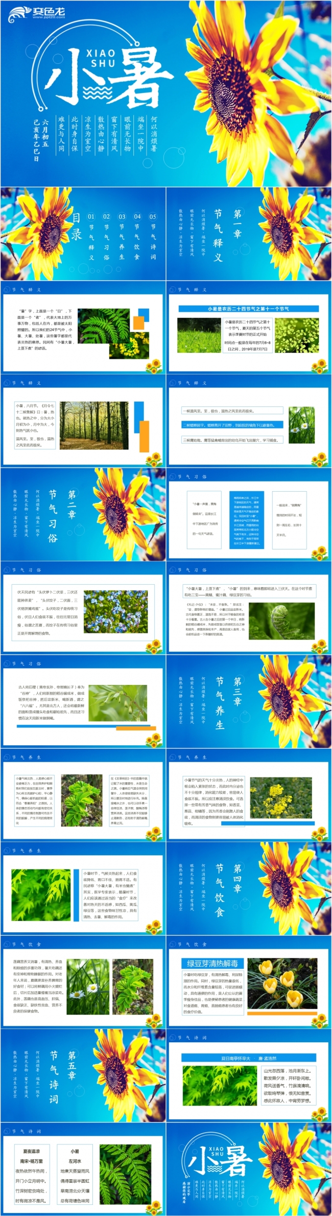 中国传统二十四节气小暑介绍动态PPT模板