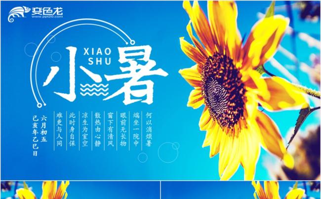 中国传统二十四节气小暑介绍动态PPT模板缩略图