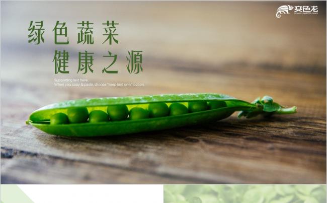 新鲜绿色蔬菜健康之源食品安全总结报告PPT模板缩略图