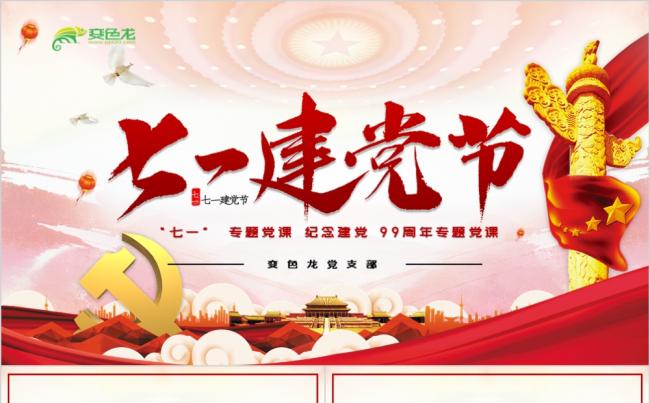 红色建党99周年党支部学习专题党课PPT模板缩略图