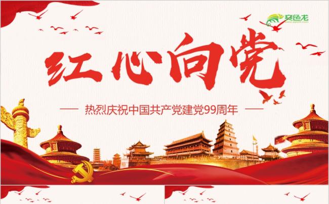 党政风红心向党纪念建党99周年党课学习PPT模板缩略图