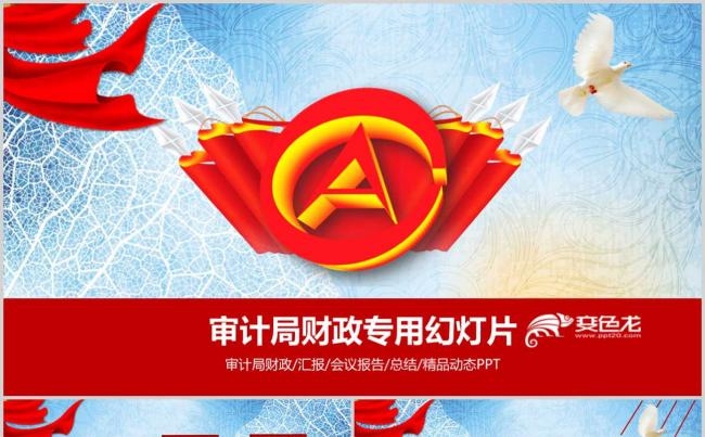 蓝色大气审计局财政会议报告工作总结汇报PPT模板缩略图