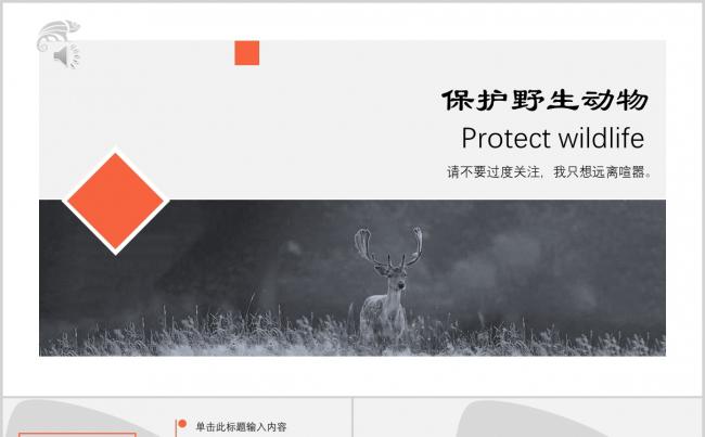 简约大气灰白色保护野生动物知识宣传PPT模板缩略图