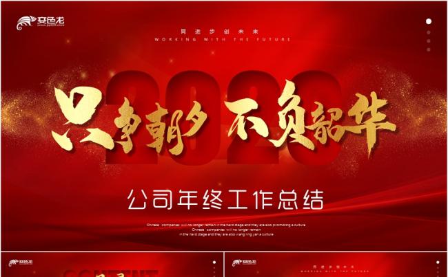 只争朝夕不负韶华红色公司简介绍工作总结述职报告PPT模板缩略图