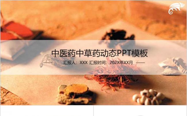 中医药中草药中医专业教育培训PPT模板缩略图