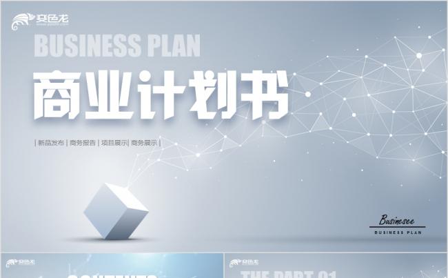 蓝灰冷淡风商业项目计划书商务通用融资方案PPT模板缩略图