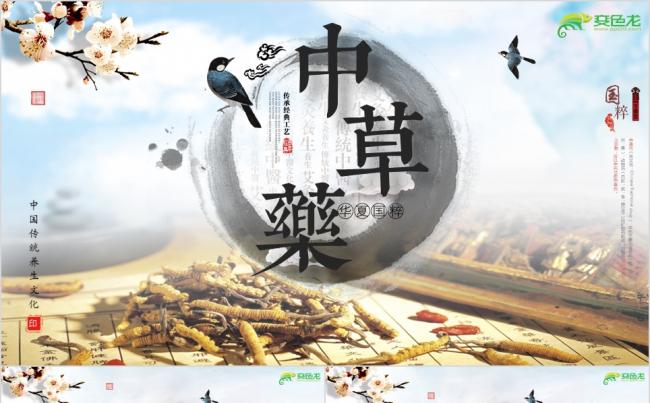 水墨中医视频开场中草药国粹竹简中国风医学院培训PPT模板缩略图