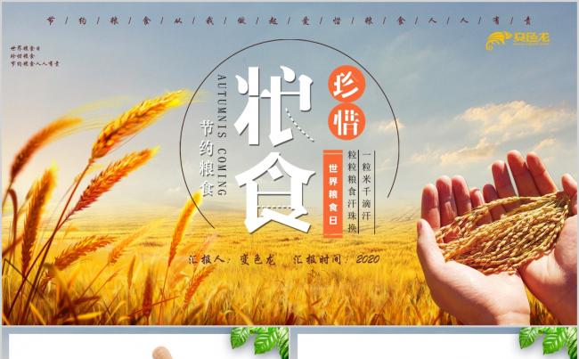 清新简约珍惜粮食杜绝浪费世界粮食日PPT模板缩略图