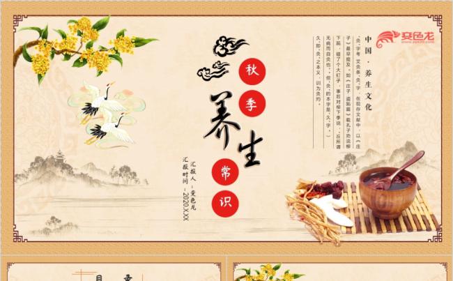 多彩古风秋季养生常识中医保健知识讲座PPT模板缩略图