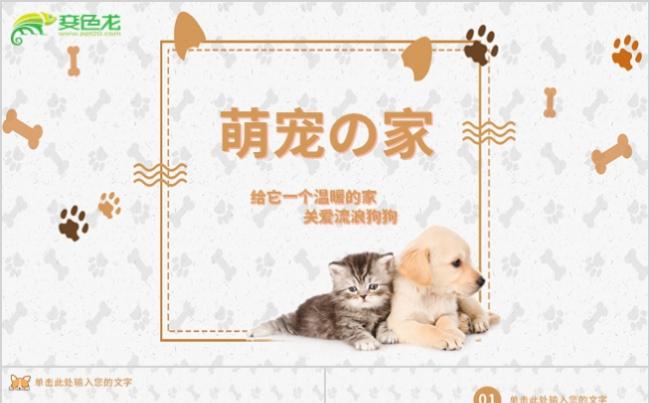 萌宠之家宠物爱心公益PPT模板缩略图
