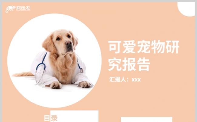 粉色可爱宠物医院研究报告PPT模板缩略图