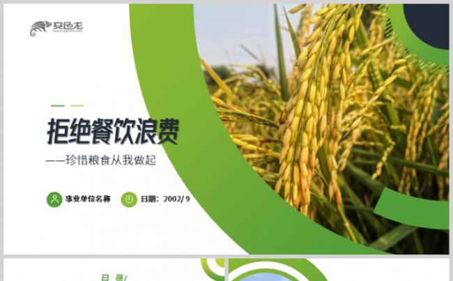 绿色健康珍惜粮食从我做起历行节俭宣传PPT模板缩略图