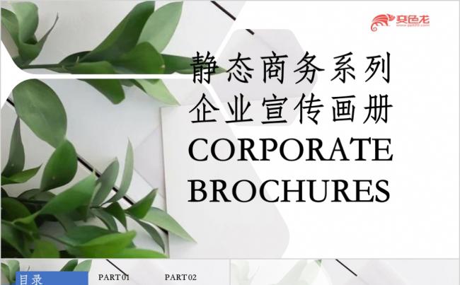 静态商务系列企业宣传画册PPT模板缩略图