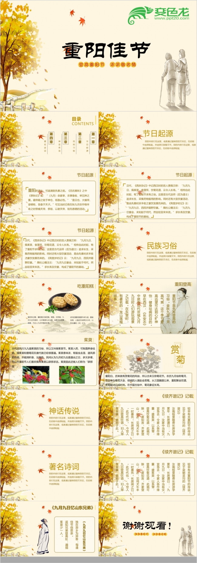 重阳节主题弘扬传统节日教育宣传PPT模板
