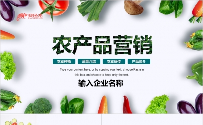 简约绿色有机蔬菜农产品营销PPT模板缩略图