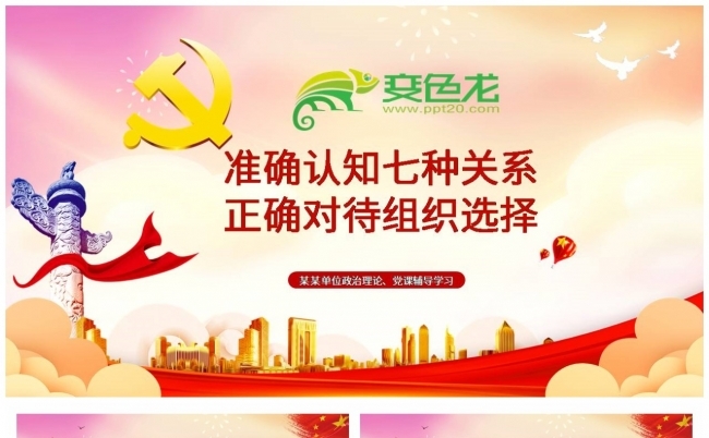 准确认知七种关系正确对待组织选择PPT模板缩略图