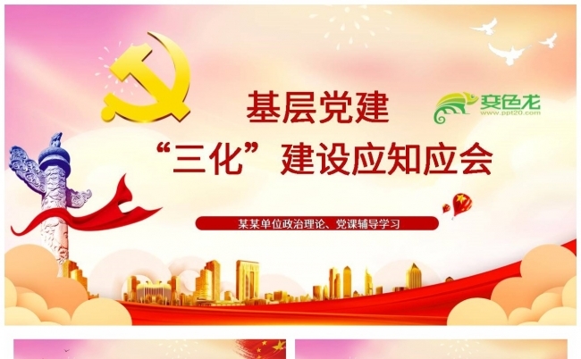 基层党建“三化”建设应知应会PPT课件缩略图