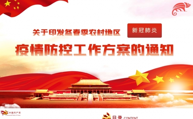 农村地区新冠肺炎疫情防控工作方案PPT模板缩略图