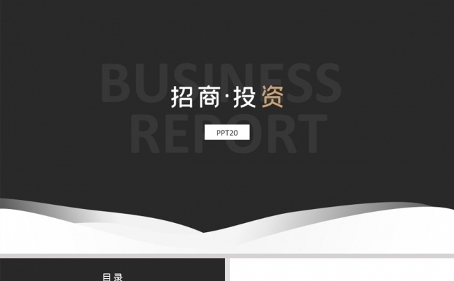 黑白商务招商投资工作总结商业计划书公司简介PPT模板缩略图