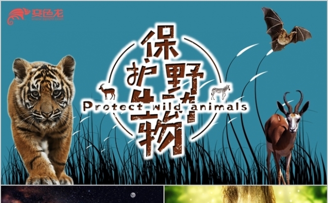 简约保护野生动物活动策划汇报ppt模板PT模板缩略图