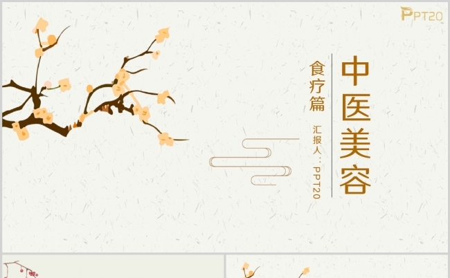 简约中国风传统文化古典中医美容教育培训PPT缩略图