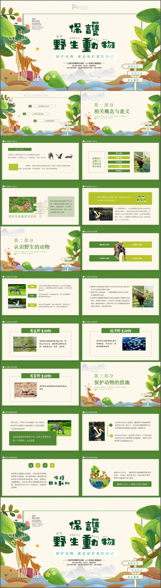 保护野生动物就是保护我们自己动态PPT模板