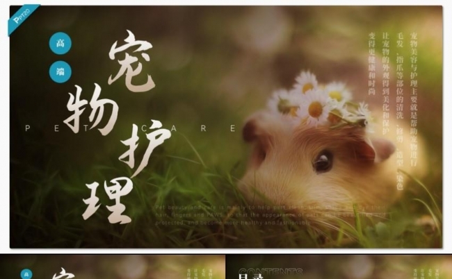 绿色清新宠物美容护理宠物医院宣传PPT模板缩略图