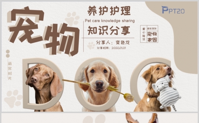 宠物饲养养护PPT通用模板缩略图