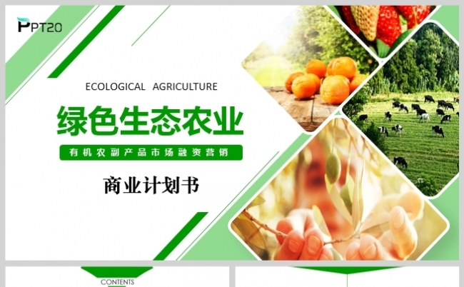 绿色有机生态农业商业投资商业计划书PPT模板缩略图