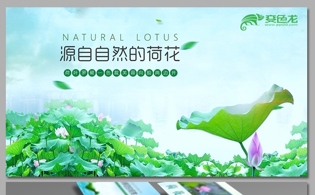 中国风总结汇报商务PPT模板设计缩略图