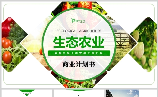 生态农业商业投资商业计划书模板缩略图