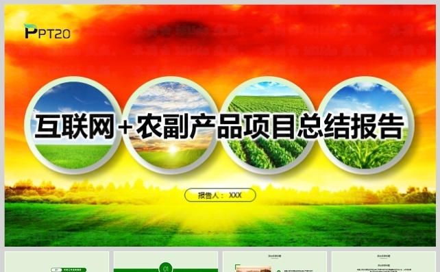 乡村田园互联网农业农副产品商务PPT模板缩略图