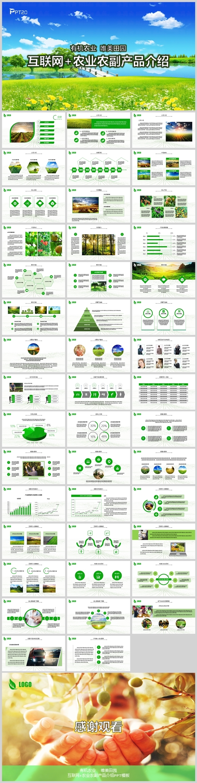 互联网农业农副产品介绍模板