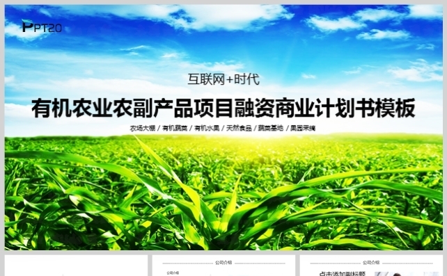 有机农业农副产品项目融资商业计划书模板缩略图