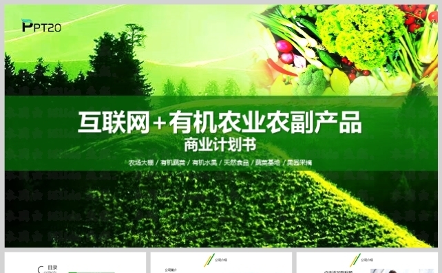 互联网加有机农业农副产品推广商业计划书模板缩略图