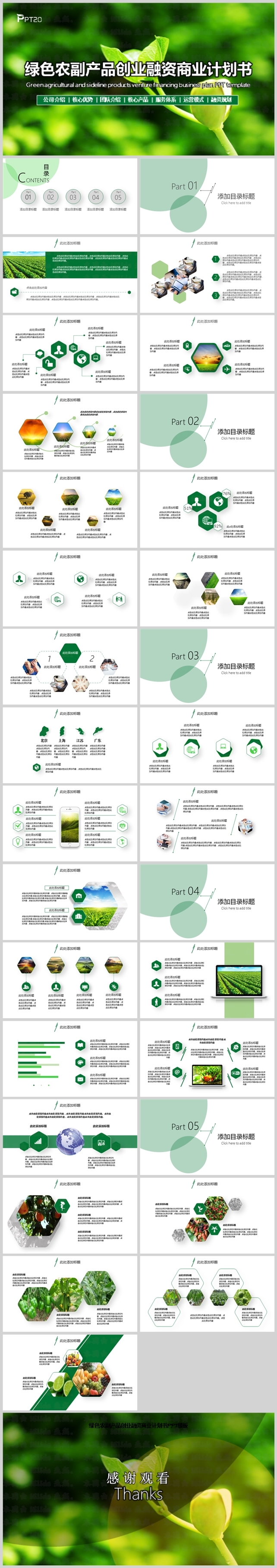 绿色农副产品项目创业融资商业计划书PPT模板