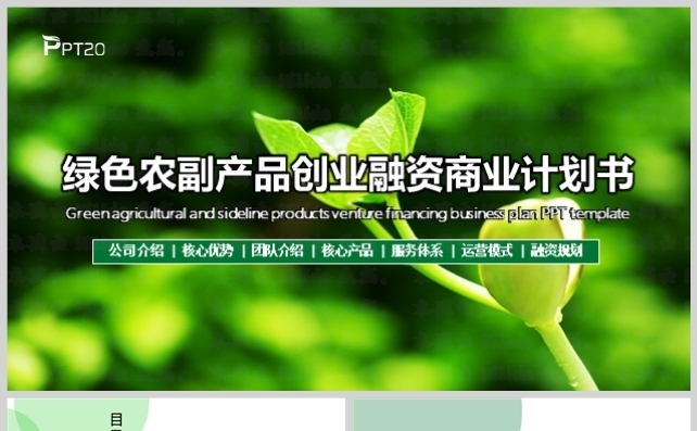 绿色农副产品项目创业融资商业计划书PPT模板缩略图
