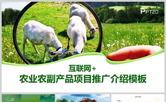 高端简约绿色农业乡村农家农副产品推广总结计划模板缩略图