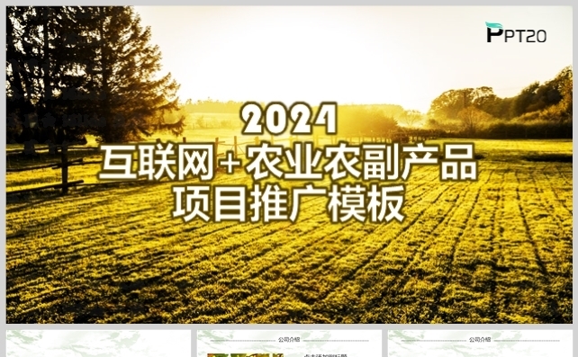 乡村田园互联网农业农副产品项目推广模板缩略图
