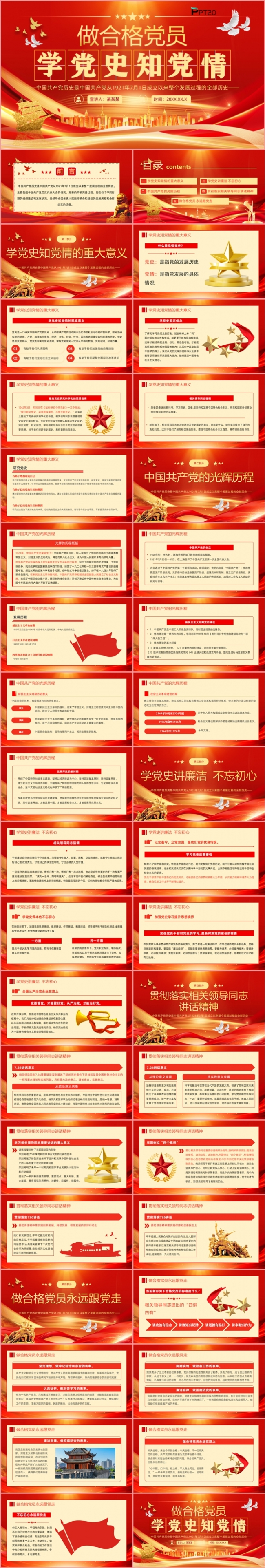 党政风党建做合格党员学党史知党情党课课件PPT模板