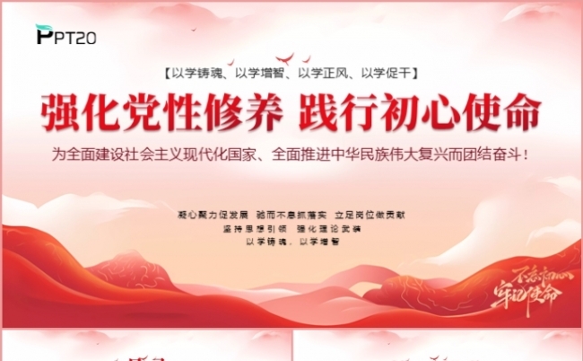 强化党性修养践行初心使命党政党支部党课课件PPT模板缩略图