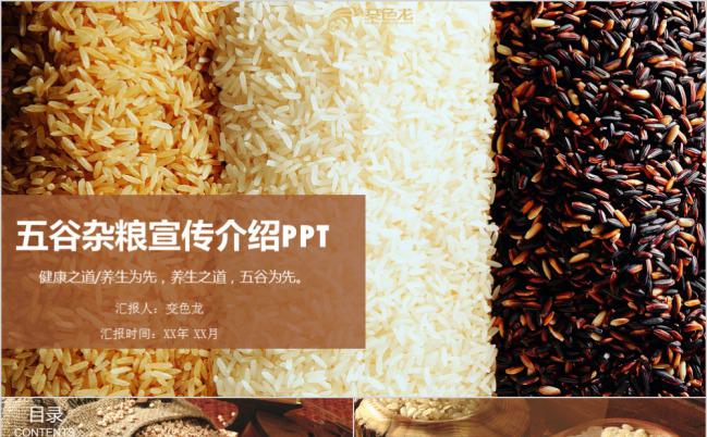 精美大方五谷杂粮宣传介绍PPT模版缩略图