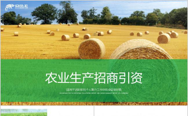 创意绿色金黄两色麦田农业生产招商引资工作总结PPT模板缩略图