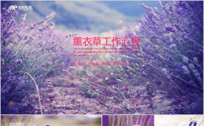 小清新梦幻紫色薰衣草工作汇报动态PPT模板下载缩略图