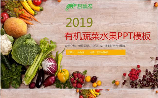 色彩缤纷2019有机蔬菜水果项目介绍PPT模版缩略图