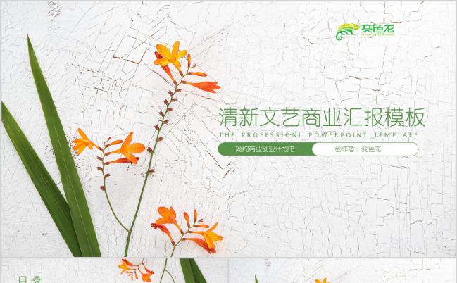 清新文艺商业工作汇报PPT模板缩略图