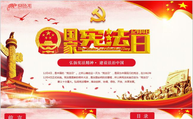 精美国家宪法日学习宪法知识PPT模板缩略图