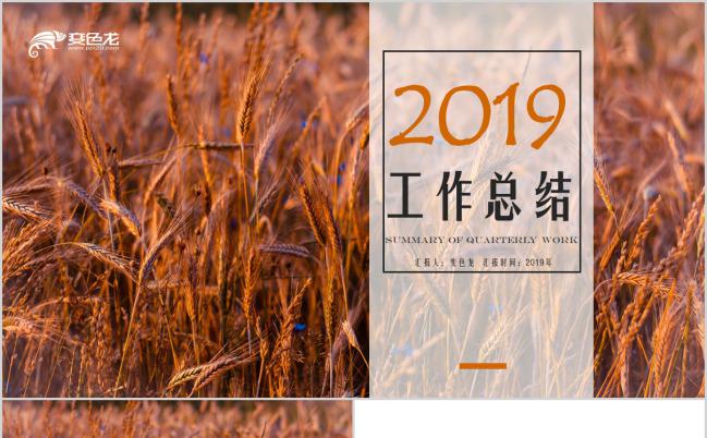 2019麦穗简约商务工作总结PPT模版缩略图